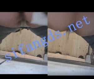 【横屏】公厕后拍时尚的小姐姐拉了一堆巨屎堵住了厕所[5GB/1V]