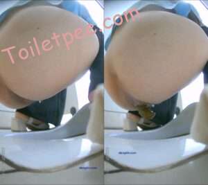 【竖屏】原版4K热闹商场女厕偸拍超多小姐姐方便，能看脸又能看B[3.7GB/85V]